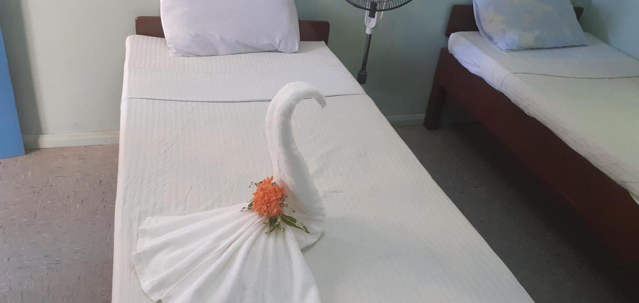 Rekona Lodge Gizo Luaran gambar